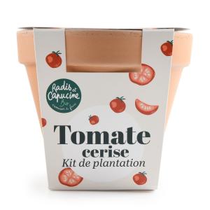 Kit Tomate Cerise Bio - Pot en Terre Cuite Antique - 13 cm
